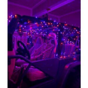 Purple and Orange Halloween Lights, 66FT 200 LED Halloween Lights